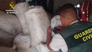 La Guardia Civil recupera cerca de una tonelada de aceituna sustraída en Mota del Cuervo 2 La Guardia Civil recupera cerca de una tonelada de aceituna sustraída en Mota del Cuervo