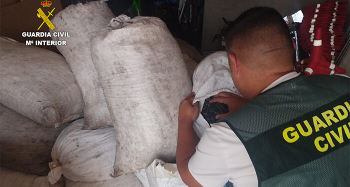 La Guardia Civil recupera cerca de una tonelada de aceituna sustraída en Mota del Cuervo 1 La Guardia Civil recupera cerca de una tonelada de aceituna sustraída en Mota del Cuervo