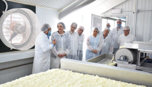 La Junta convoca 1,2 millones de euros para impulsar la comercialización de las pymes en los mercados nacionales 2 La Junta convoca 1,2 millones de euros para impulsar la comercialización de las pymes en los mercados nacionales