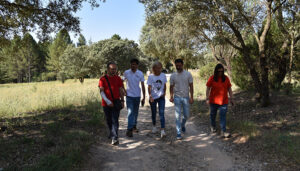 La Junta refuerza la prevención de incendios con trabajos selvícolas en el paraje ‘El Barco’ de Cañamares’