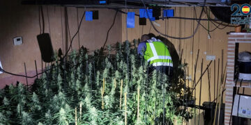 La Policía Nacional descubre un cultivo de marihuana en una vivienda de Guadalajara en la que se había producido un incendio