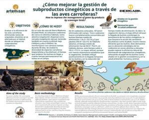 La ubicación estratégica de restos cinegéticos puede mejorar la eficacia natural de las aves carroñeras para eliminarlos 2 La ubicación estratégica de restos cinegéticos puede mejorar la eficacia natural de las aves carroñeras para eliminarlos