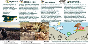 La ubicación estratégica de restos cinegéticos puede mejorar la eficacia natural de las aves carroñeras para eliminarlos