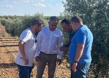 Las tormentas del jueves ponen en jaque a los agricultores de Cuenca Sisante y Casas de Benítez, dos de las localidades más afectadas
