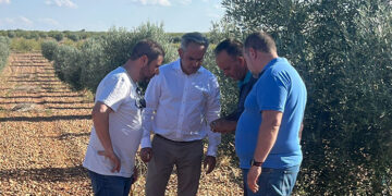 Las tormentas del jueves ponen en jaque a los agricultores de Cuenca: Sisante y Casas de Benítez, dos de las localidades más afectadas
