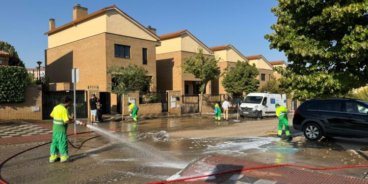 Limpieza intensiva 2024 ARCHIVO WA0068