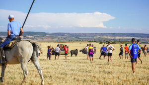 Multitudinario encierro por el campo en Cabanillas