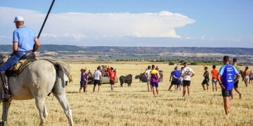 Multitudinario encierro por el campo en Cabanillas