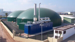 Stop Ganadería Industrial lanza una campaña para animar a alegar contra el nuevo plan regional de biometanización de Castilla-La Mancha