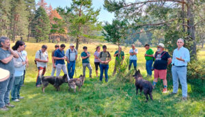 Un curso de verano de la UCLM en Vega del Codorno aborda los retos de la trashumancia