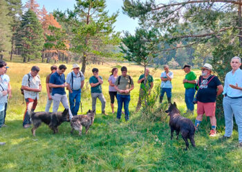 Un curso de verano de la UCLM en Vega del Codorno aborda los retos de la trashumancia