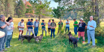 Un curso de verano de la UCLM en Vega del Codorno aborda los retos de la trashumancia