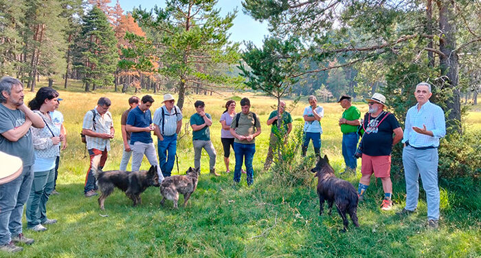 Un curso de verano de la UCLM en Vega del Codorno aborda los retos de la trashumancia