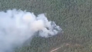 Controlado el incendio en Cañizares 2 Un total de 15 medios y 67 personas luchan contra el fuego en Cañizares