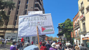 Una veintena de organizaciones de Guadalajara piden en el pleno apoyo a Palestina