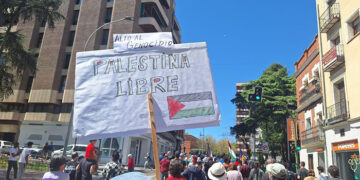 Una veintena de organizaciones de Guadalajara piden en el pleno apoyo a Palestina