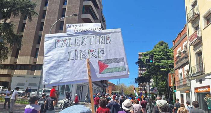 Una veintena de organizaciones de Guadalajara piden en el pleno apoyo a Palestina