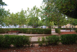 ZONAS MOTILLA DEL PALANCAR 096 scaled 1