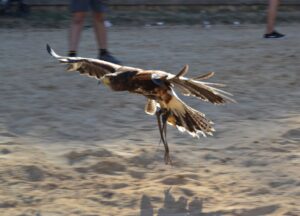 334 picsart 22 08 08 21 21 52 266