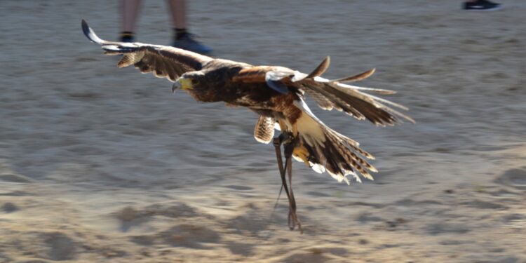 334 picsart 22 08 08 21 21 52 266