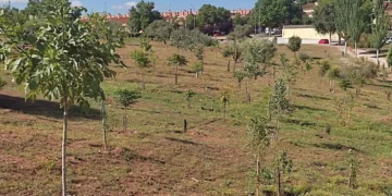 ¿Qué ocurre con el denominado “Bosque urbano de Aguas Vivas”? Esto dice el Ayuntamiento de Guadalajara