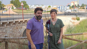 AIKE pide mayor conservación  para el Puente del Henares