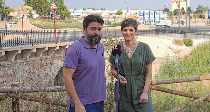 AIKE pide mayor conservación para el Puente del Henares