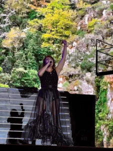 Amaral patrimonio humano en estado puro