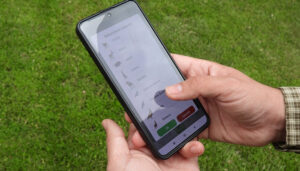 Cerca de 3.000 cazadores vuelven a cazar la tórtola con el Precinto Digital de Caza