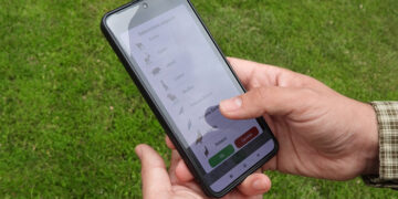 Cerca de 3.000 cazadores vuelven a cazar la tórtola con el Precinto Digital de Caza