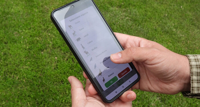 Cerca de 3.000 cazadores vuelven a cazar la tórtola con el Precinto Digital de Caza