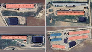 Comienza a tramitarse una quinta macrogranja en Carboneras de Guadazaón, que llegaría a 24 cerdos por habitante 2 Comienza a tramitarse una quinta macrogranja en Carboneras de Guadazaón, que llegaría a 24 cerdos por habitante