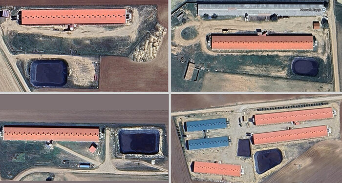 Comienza a tramitarse una quinta macrogranja en Carboneras de Guadazaón, que llegaría a 24 cerdos por habitante 1 Comienza a tramitarse una quinta macrogranja en Carboneras de Guadazaón, que llegaría a 24 cerdos por habitante