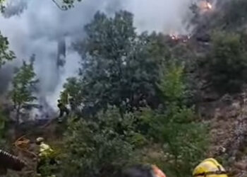 Controlado el incendio forestal declarado en la Fuente de los Tres Caños en Los Palancares