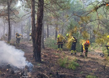 Controlado un incendio forestal en Campillos-Paravientos