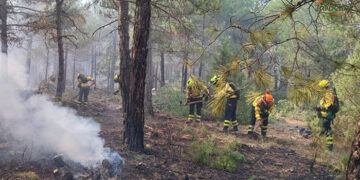 Controlado un incendio forestal en Campillos-Paravientos