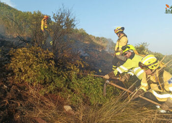 Controlado un incendio forestal en el paraje de la Hoya de la Cantina en Arcas del Villar