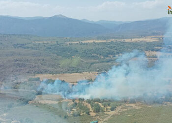 Declarado un incendio forestal en Campillo de Ranas