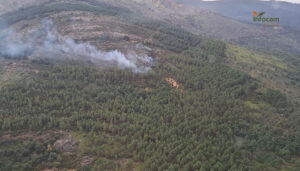 Extinguido un incendio forestal en Semillas 2 Declarado un incendio forestal en Semillas