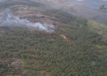 Declarado un incendio forestal en Semillas