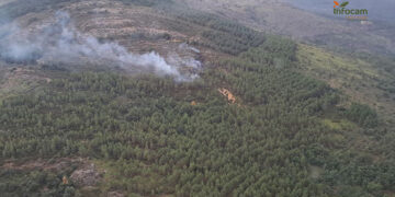 Declarado un incendio forestal en Semillas