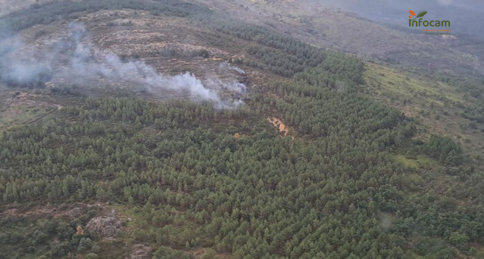 Extinguido un incendio forestal en Semillas 1 Declarado un incendio forestal en Semillas