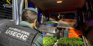 Detenida una pareja en el Pozo de Guadalajara con 400 plantas de marihuana en un coche