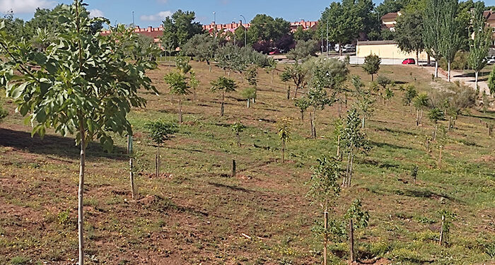 Ecologistas en Acción denuncia que el Ayuntamiento de Guadalajara quiere acabar con el Bosque Urbano de Aguas Vivas 1 Ecologistas en Acción denuncia que el Ayuntamiento de Guadalajara quiere acabar con el Bosque Urbano de Aguas Vivas