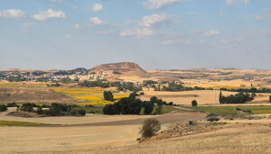 El Ayuntamiento de Huete aprueba por unanimidad rechazar la permuta de tierras de la extinta Cámara Agraria y se persona en el procedimiento 2 El Ayuntamiento de Huete aprueba por unanimidad rechazar la permuta de tierras de la extinta Cámara Agraria y se persona en el procedimiento como parte afectada