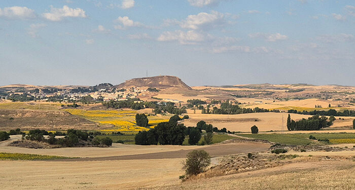 El Ayuntamiento de Huete aprueba por unanimidad rechazar la permuta de tierras de la extinta Cámara Agraria y se persona en el procedimiento 1 El Ayuntamiento de Huete aprueba por unanimidad rechazar la permuta de tierras de la extinta Cámara Agraria y se persona en el procedimiento como parte afectada
