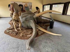 El CIPAT de Tamajón estrena escena de cacería y figura de Homo sapiens en su Semana Cultural 2 El CIPAT de Tamajón estrena escena de cacería y figura de Homo sapiens en su Semana Cultural