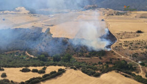 Controlado un incendio forestal en Valfermoso de Tajuña 2 Guadalajara vuelve a arder incendio en Valfermoso de Tajuña