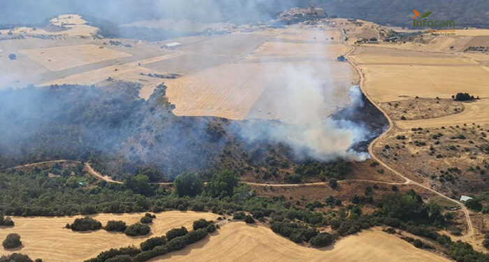 Controlado un incendio forestal en Valfermoso de Tajuña 1 Guadalajara vuelve a arder incendio en Valfermoso de Tajuña