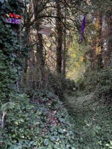 Setiles cuenta este verano con un ‘Bosque de las hadas’ gracias a la iniciativa de dos vecinos 2 Setiles cuenta este verano con un ‘Bosque de las hadas’ gracias a la iniciativa de dos vecinos